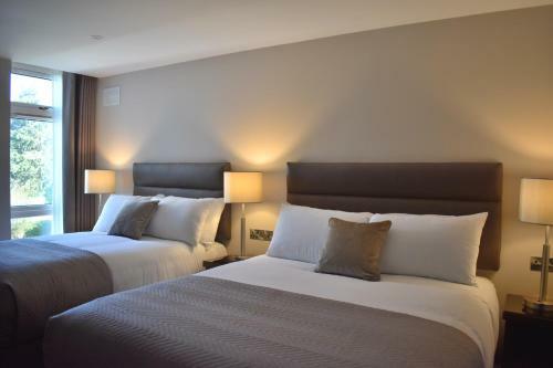 Hostal The Birches Killarney