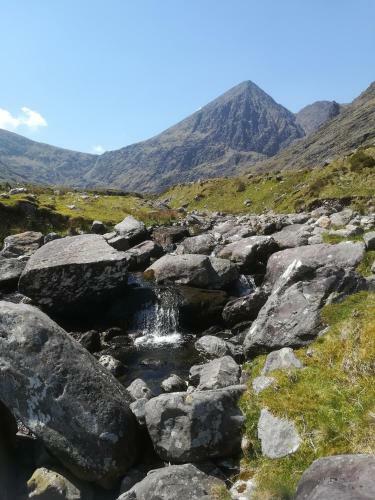 Ivy Cottage Steps From Killarney National Park