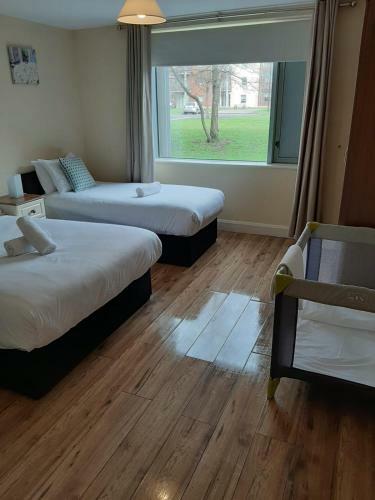 Wild Atlantic Apartments Killarney