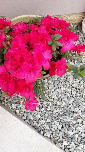 Hostal Gui E Lu Acomoda�oes