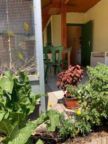 Apartamento Leander Vend�gh�z