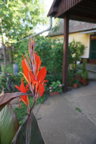 Hostal Piri Vend�gh�z
