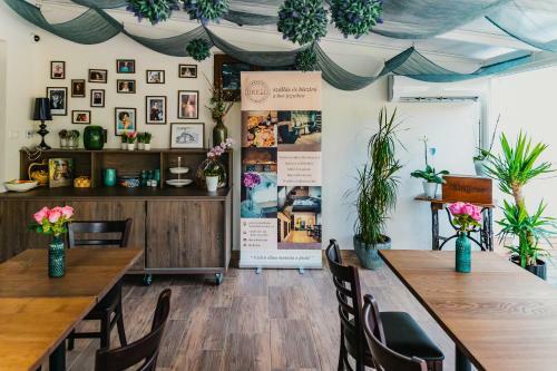 Bed & Breakfast Dreko Panzi� & Borbisztr�
