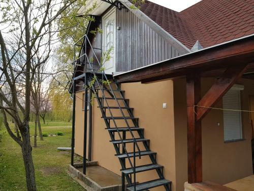 Bogl�rka Horg�sznyaral�
