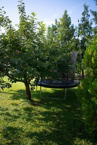 Apartamento G�nter Vend�gh�z-hajd�n�n�s