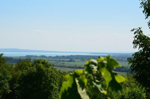 Grand Cru 3. Vend�gh�z