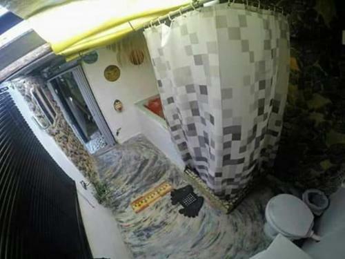 Bicho Do Mato.