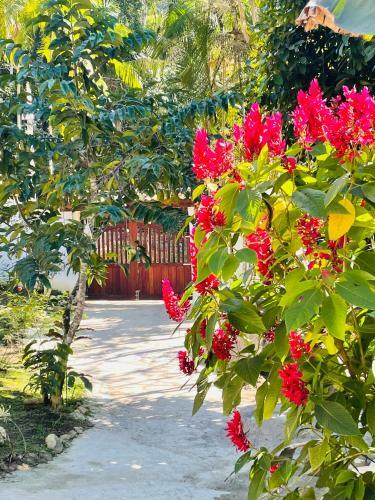 Eco Pousada Vale Do Sossego - Casa Na Ro�a Em Paraty