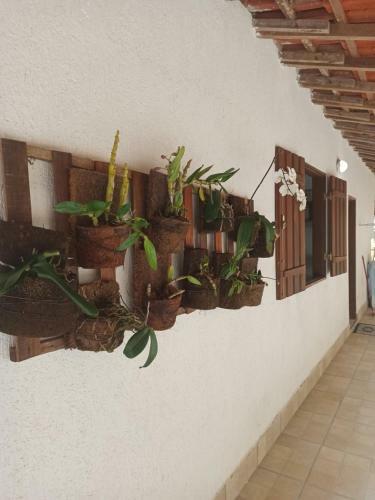 Recanto Jussara - Paraty