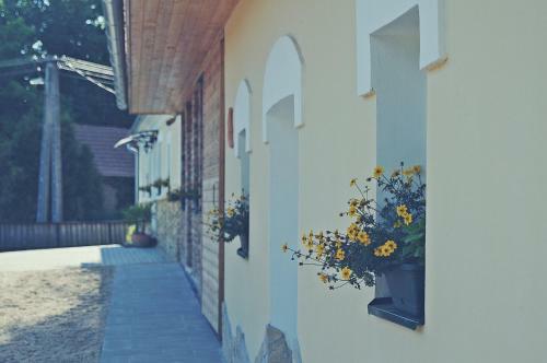 Hostal Vincze Vad�sz Vend�gh�z