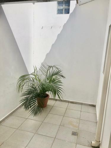 Casa Com �tima Localiza��o