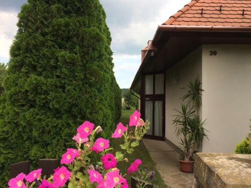 Hostal Marta Guest House