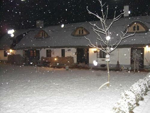 Apartamento N�dash�z