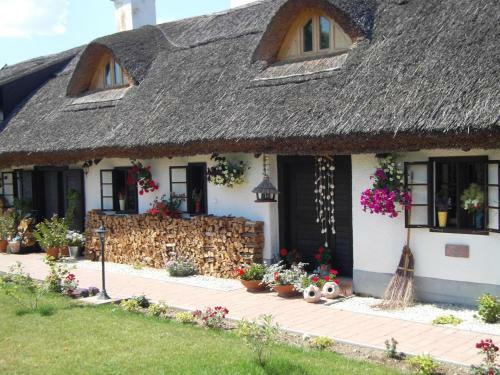 Apartamento N�dash�z