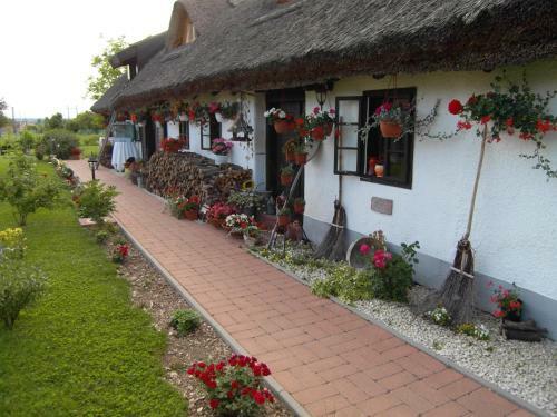 Apartamento N�dash�z