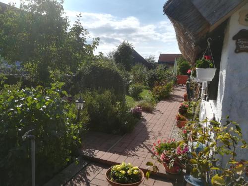 Apartamento N�dash�z