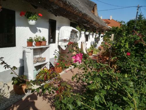 Apartamento N�dash�z