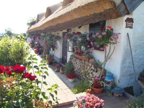 Apartamento N�dash�z