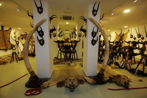 Apartamento N�dash�z