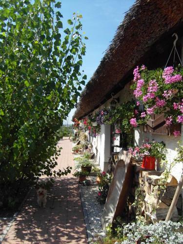 Apartamento N�dash�z