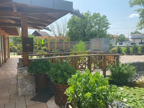 Bed & Breakfast O�zis Panzi�
