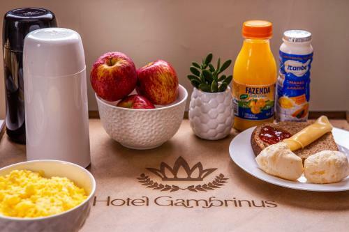Hotel Gambrinus