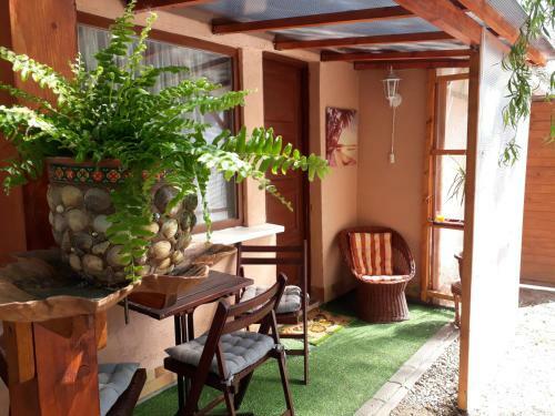 Hostal City Camping& Apartman &bungalow
