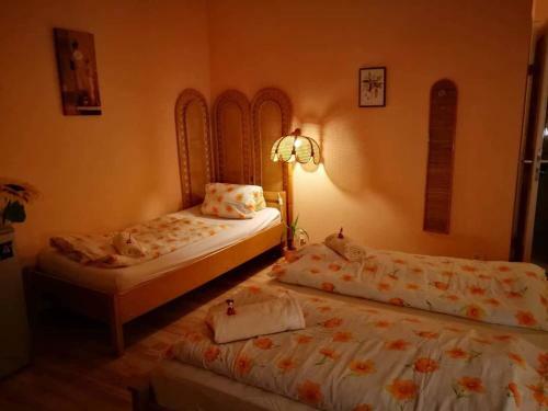 Hostal City Camping& Apartman &bungalow