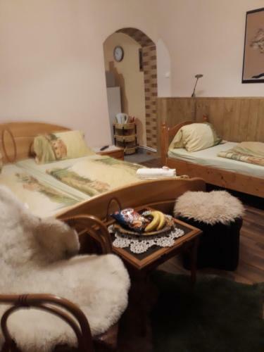 Hostal City Camping& Apartman &bungalow