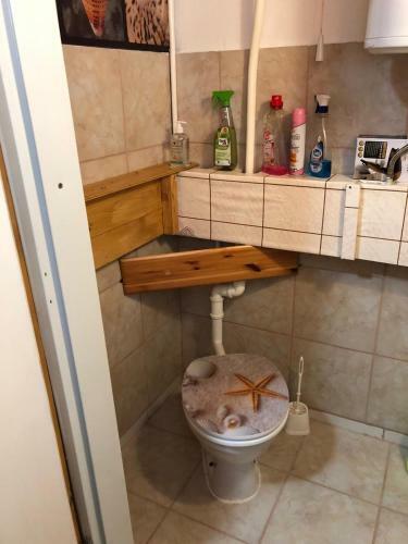Hostal City Camping& Apartman &bungalow