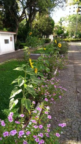 Apartamento Apts No Condominio Quisisana