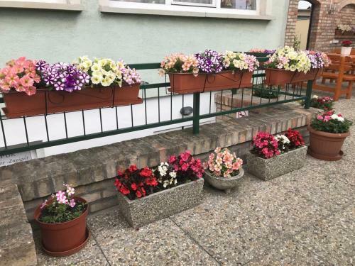 Hostal Jasmine's Vend�gh�z