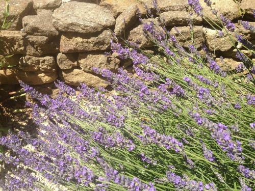 Hostal Les Remparts