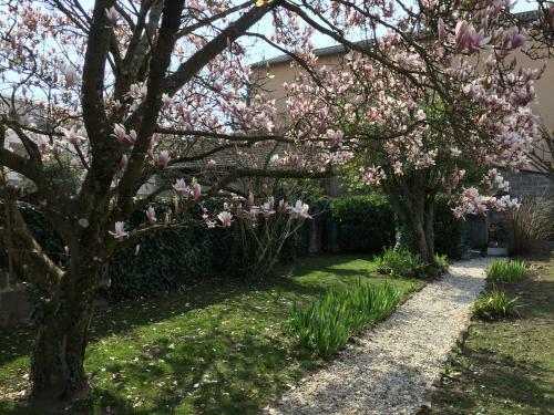 Hotel H�tel Concorde