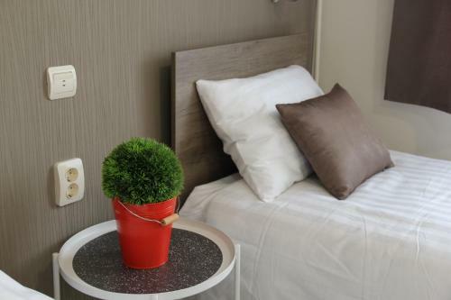 Bed & Breakfast Familia Panzi� Gy?r