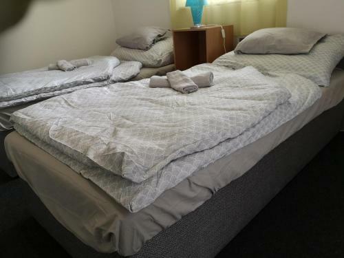 Hostal Vend�gh�z Kalocsa