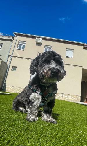 Holiday Apartmanh�z