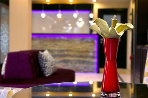 Boutique Hotel Divina