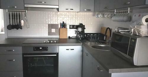 Gemini Vend�gh�z