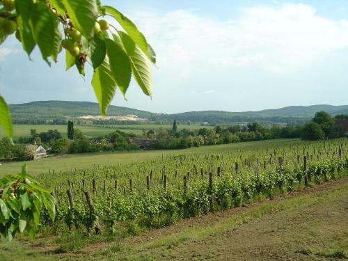 Apartamento Ferien Im Naturschutzgebiet