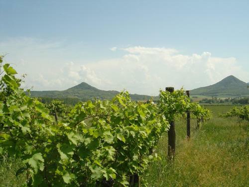 Apartamento Ferien Im Naturschutzgebiet