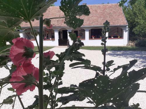 Agroturismo Let?nt Id?k Vend�gh�z