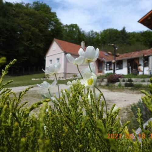 Apartamento Luku Hegyi Pihen?h�z