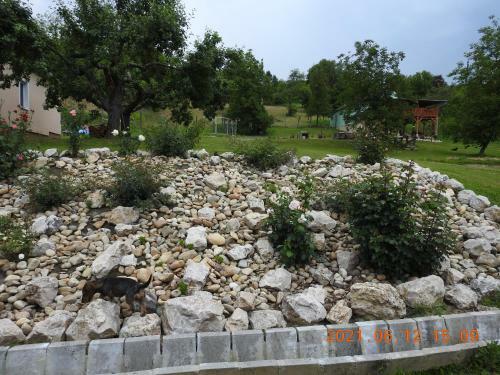 Apartamento Luku Hegyi Pihen?h�z