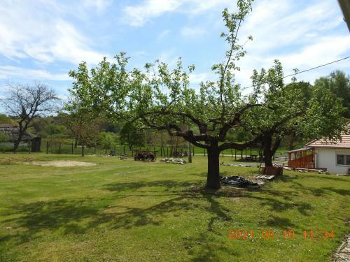 Apartamento Luku Hegyi Pihen?h�z