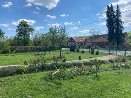 Apartamento Tulip�n Vend�gh�z Kercaszomor