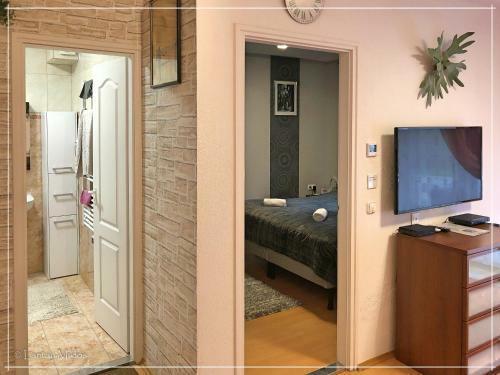 Csi - Pet Apartman