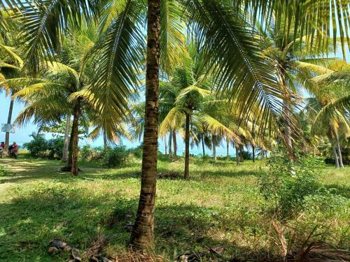 Casa Charme Do Patacho, Rec�m Constru�da, Perto Da Praia!