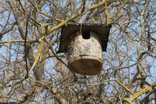 Apartamento Pipagyujto Malom