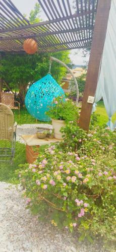 Hostal Chal�s E Camping Bela Vista